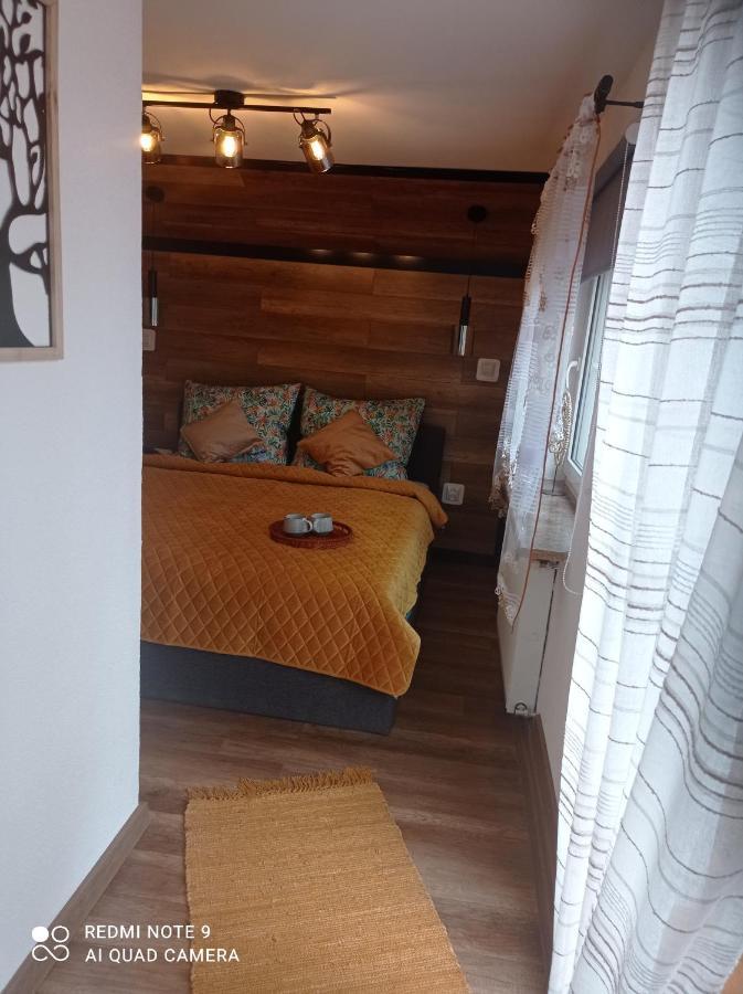 Apartamenty Sowianka Ludwikowice Klodzkie Exterior photo